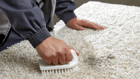 Professional Rug Cleaning Watsonia