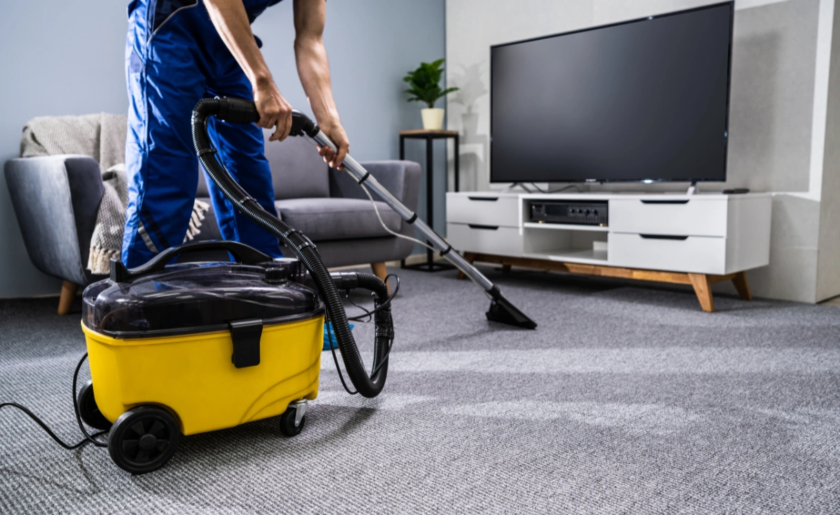 Extract Rug Cleaning Watsonia Contact Office